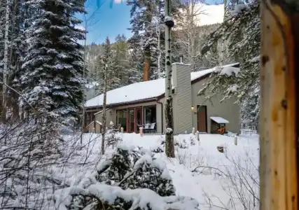 The Juniper - 48