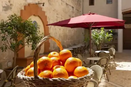 Can Cirera - 25