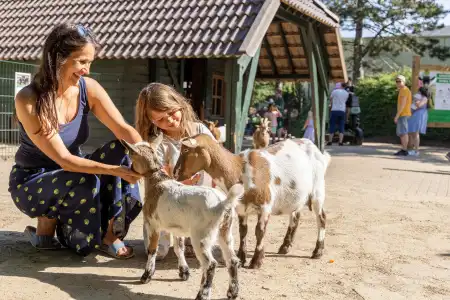 Center Parcs Bispinger Heide - 26