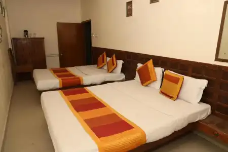 Raghuraj Palace - 87