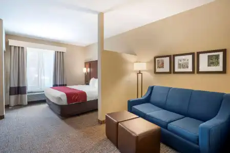Comfort Suites Fredericksburg North - 108