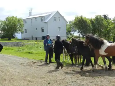 Farmer's Guest House - 48