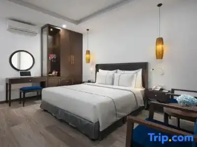 Hanoi Bonsella - 70