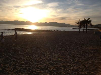Résidence la Palme d'Azur Cannes Verrerie - 11
