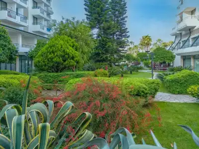 Meryan - All Inclusive - 38