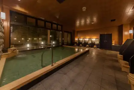 Nishitetsu Resort Inn Beppu - 24