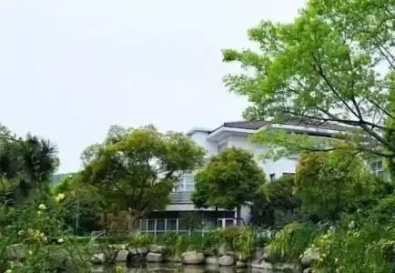 Dongshan - 20