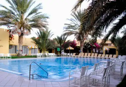 Sun Palm - 34