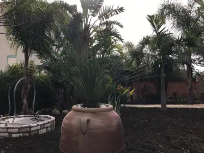 Templi e Arte - 11