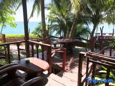 Tongta Phaview - 78