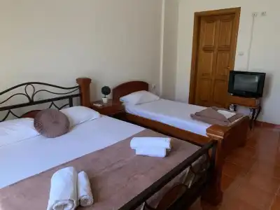 Guesthouse Orlović - 24