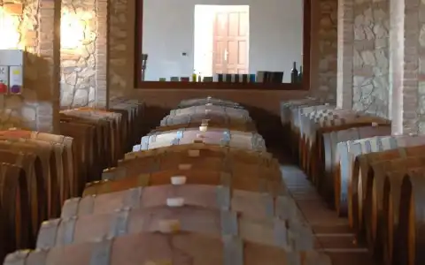 Tenuta Elisabetta - 11