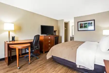 Quality Inn & Suites University Area - 22