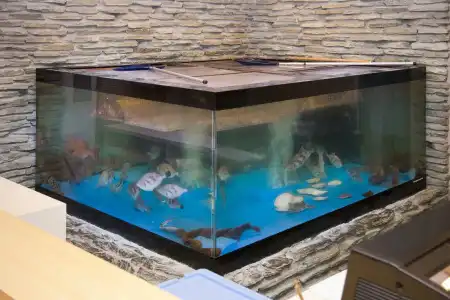 Onomichi Kokusai - 17