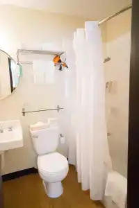 Stay Waikiki - 43