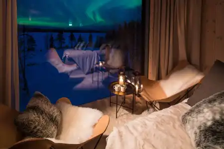 Arctic TreeHouse - 21