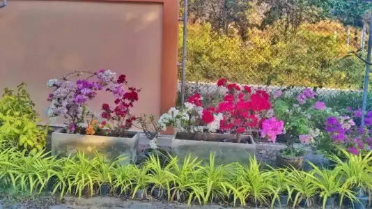Elegancy Resort Hua Hin - 51
