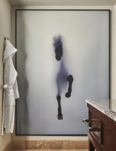 Four Seasons Austin - 19