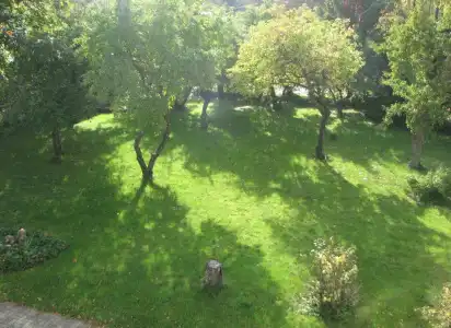 Villa Artis - 17