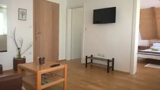 Guesthouse Bor - 48