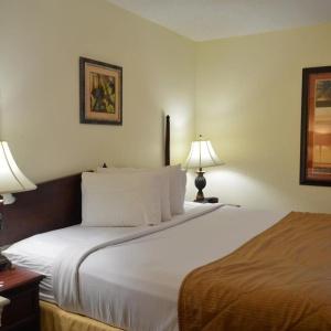 Opal & Suites - 36