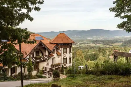 Dziki Potok - 8