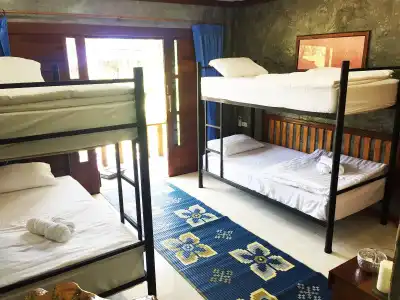 Wonderland Healing Center - 2