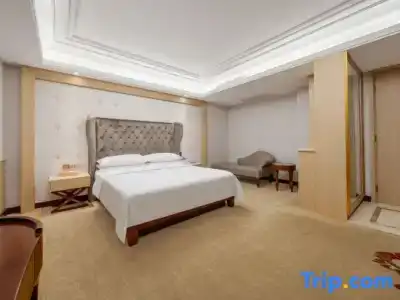 Vienna Dongguan Humen Wanda Plaza - 28