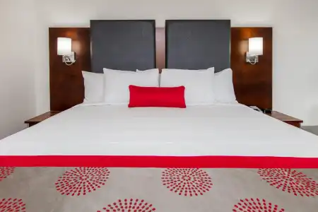 Ramada by Wyndham Austin South - 30