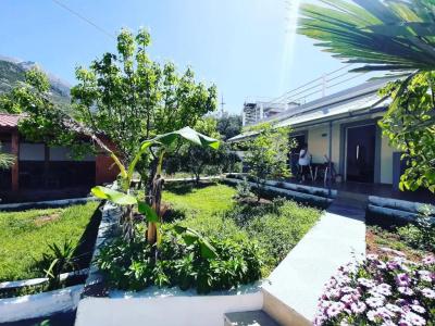 Yard Paradise - 29