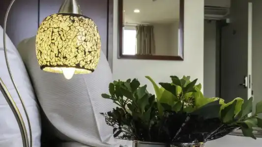 Areca Launceston - 13