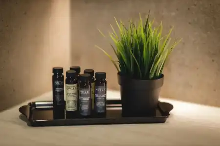 Sunrose 7 - Gourmet & SPA (16+) - 80