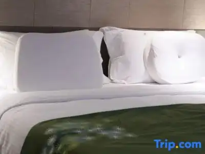 Ascott Raffles City Chengdu - 60