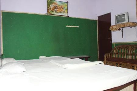 Raj Bed & Breakfast - 35