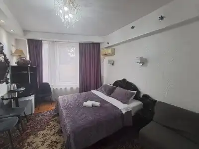 Bella Donna - 6