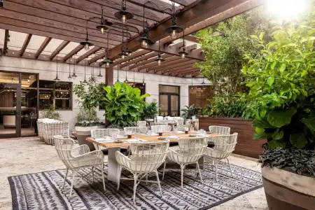 The Ritz-Carlton Coconut Grove, - 35