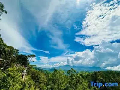 Nature Life Guest Inn - 74