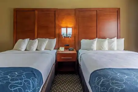 Comfort Suites University Las Cruces - 47