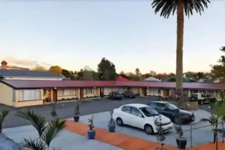 Auckland Phoenix Palm - 9