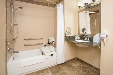 Holiday Inn & Suites Durango Downtown by IHG - 9