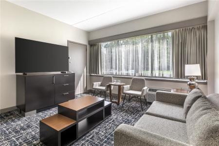 DoubleTree by Hilton Williamsburg - 41