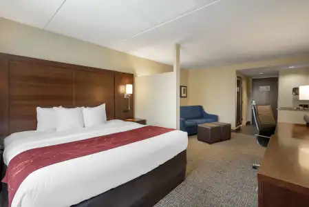 Comfort Suites Fredericksburg North - 4