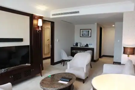 Evergreen Laurel Shanghai - 50