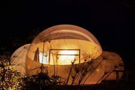 Green Land Bubble Glamping - 21