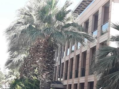 Nazar Otel - 22