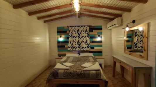 Shams & Dive Centre - 71