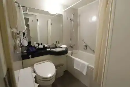 ANA Crowne Plaza Yonago by IHG - 10