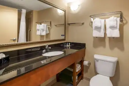 Comfort Suites Fredericksburg North - 107