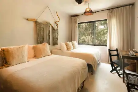 Nest Tulum - 3