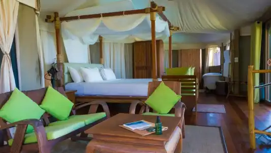 9 Hornbills Tented Camp - 49